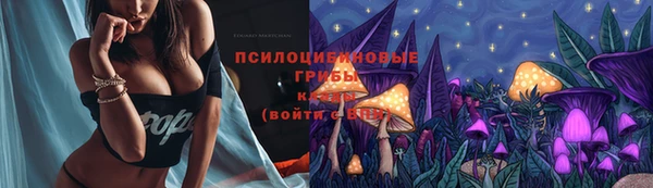 гашик Корсаков