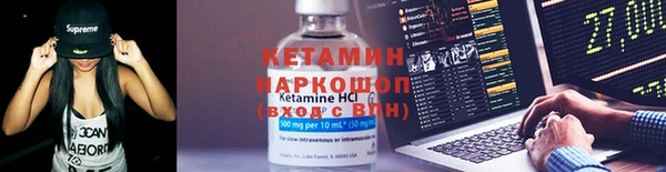 гашик Корсаков