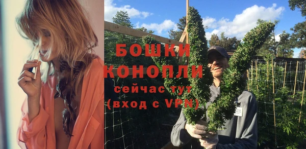 гашик Корсаков