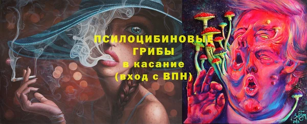 круглые Коряжма