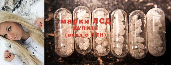 гашик Корсаков