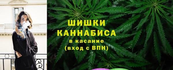 меф Богородицк