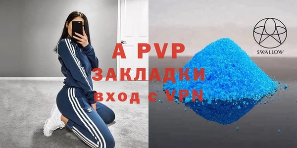 гашик Корсаков