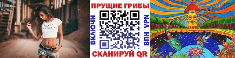 Галлюциногенные грибы GOLDEN TEACHER дарк нет какой сайт Малоархангельск